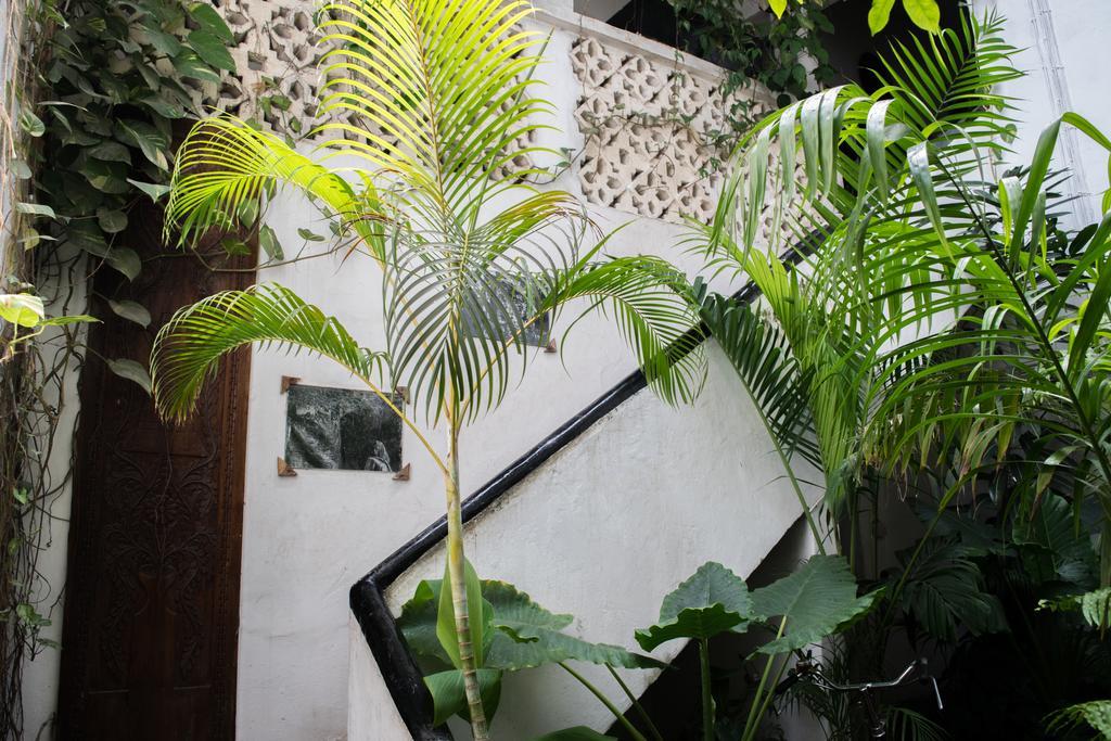 Zanzibar Malindi Guest House מראה חיצוני תמונה
