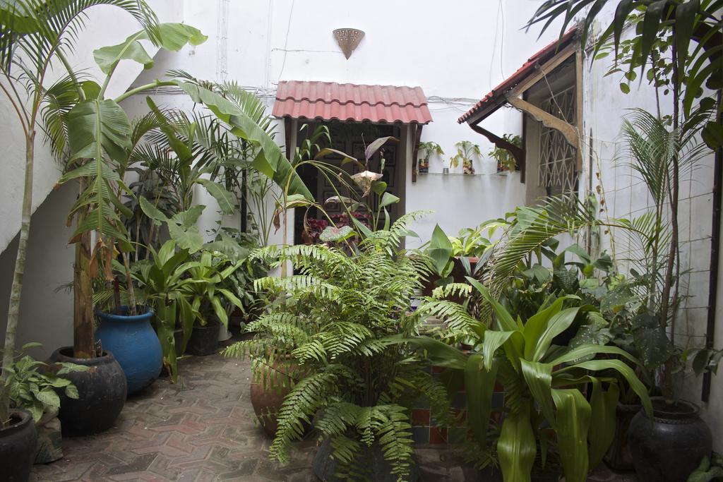 Zanzibar Malindi Guest House מראה חיצוני תמונה