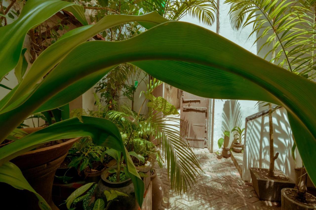 Zanzibar Malindi Guest House מראה חיצוני תמונה